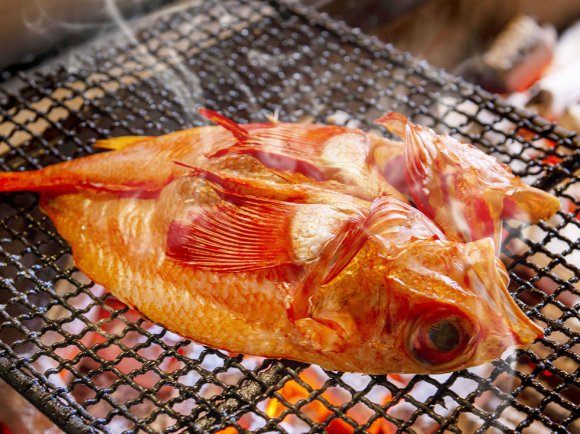 北海道の高級魚「きんき」「めんめ」は正式名ではない？金目鯛との違いを徹底解剖