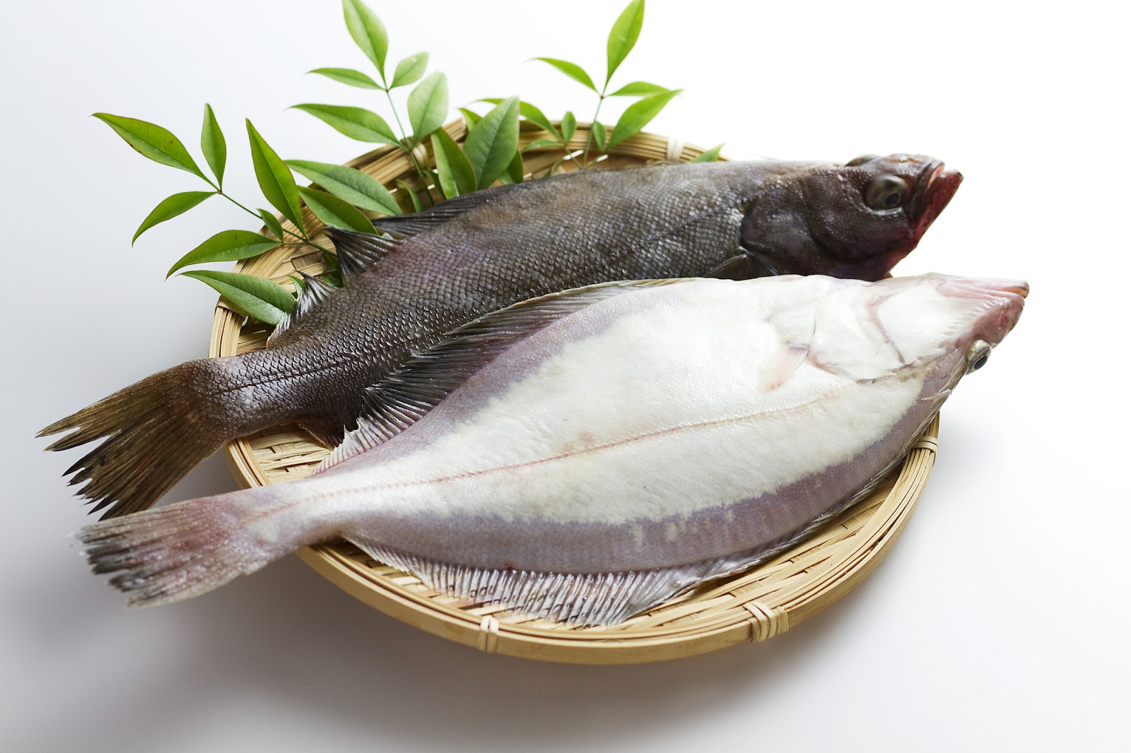 【カレイの唐揚げ】北海道のプロの料理人がさばき方から揚げ方まで丁寧に解説! | 札幌駅居酒屋かけはし北二条店ブログ