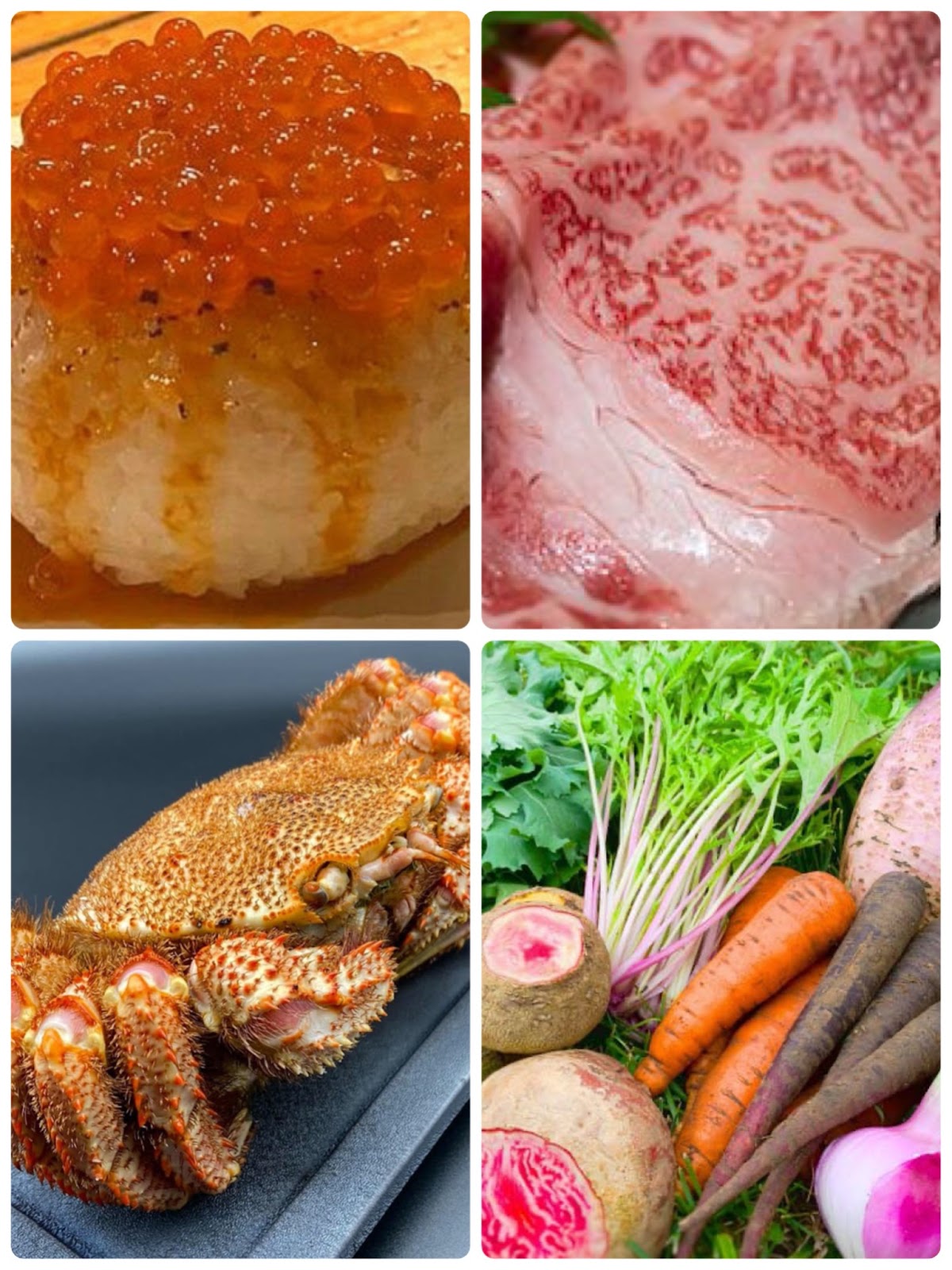 生産者の想いを全国へ！居酒屋「かけはし」が北海道の海鮮・食材を届ける福徳便とは【社長が語る…